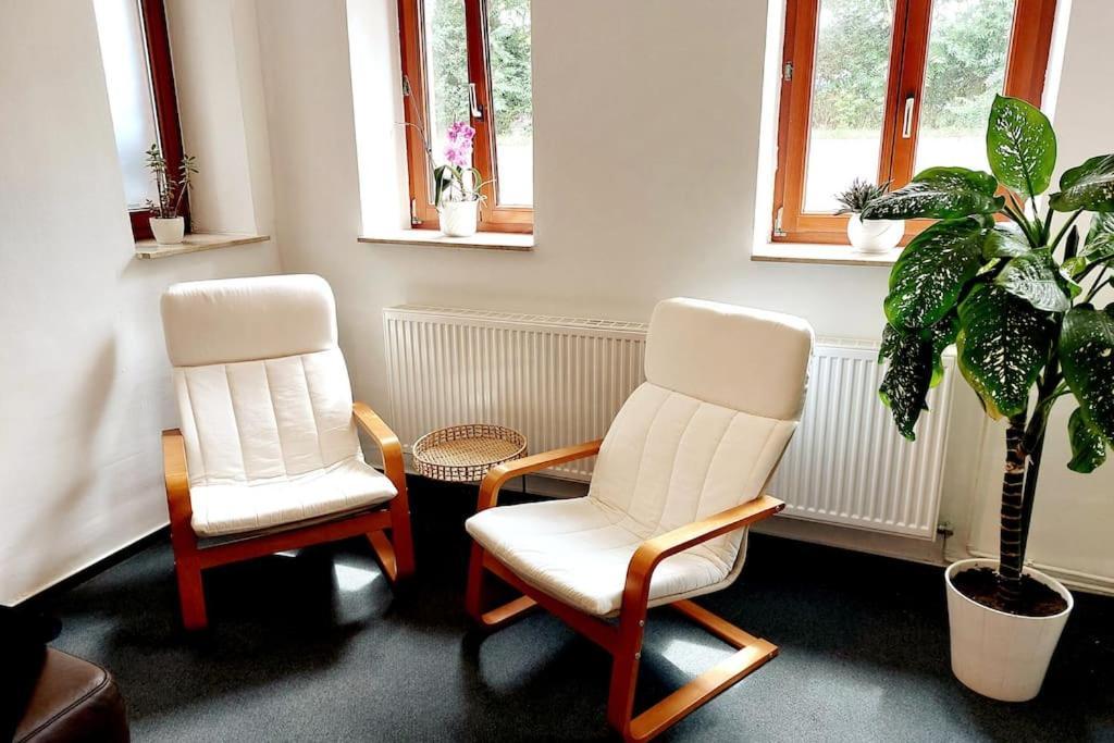 Zentrale Ferienwohnung - Direkt Am See Und Schloss Шверин Экстерьер фото