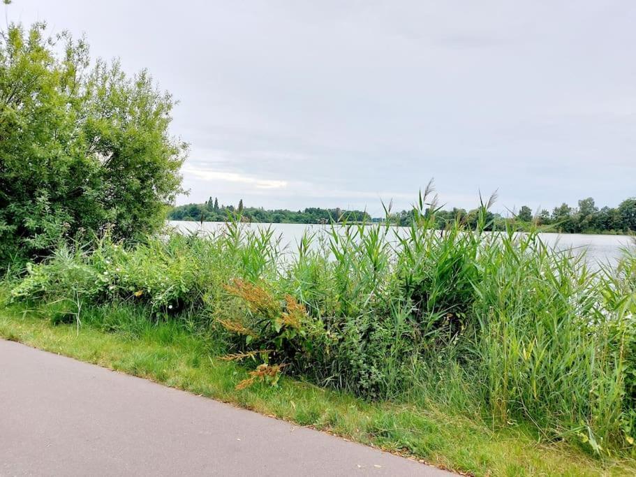 Zentrale Ferienwohnung - Direkt Am See Und Schloss Шверин Экстерьер фото